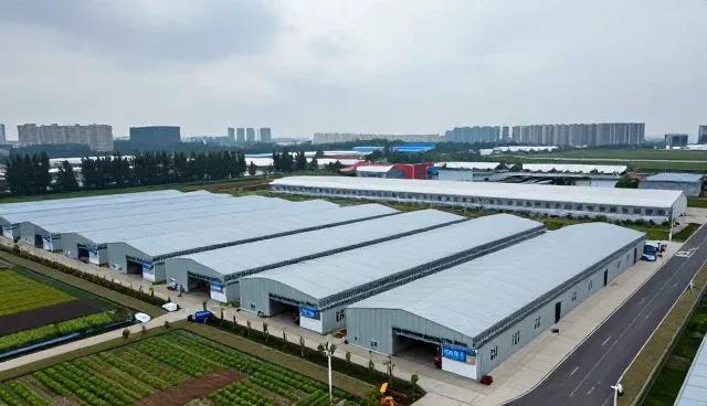 视频制作选型中的关键考量因素分析