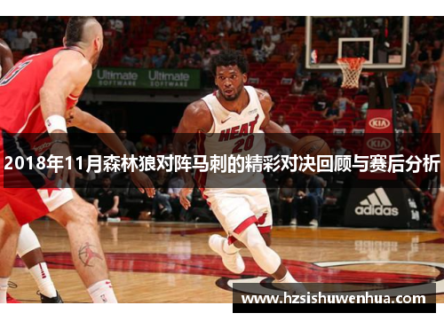 2018年11月森林狼对阵马刺的精彩对决回顾与赛后分析