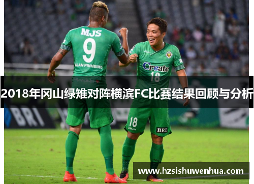 2018年冈山绿雉对阵横滨FC比赛结果回顾与分析