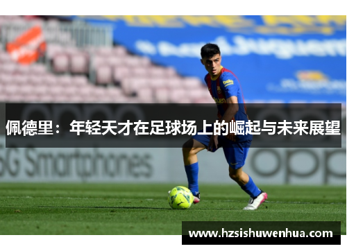 佩德里：年轻天才在足球场上的崛起与未来展望